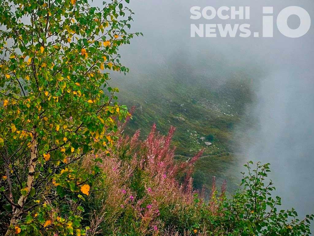 Неделя в Сочи начинается с туманов