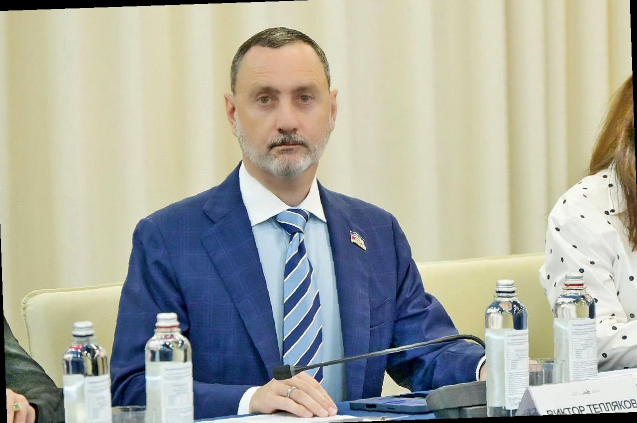 Виктор Тепляков присоединился к обсуждению на Форуме «Петербургский диалог»