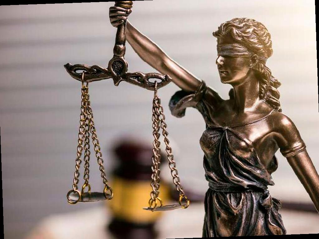 Хозяину собак, атаковавших ребенка в Сочи, дали приговор