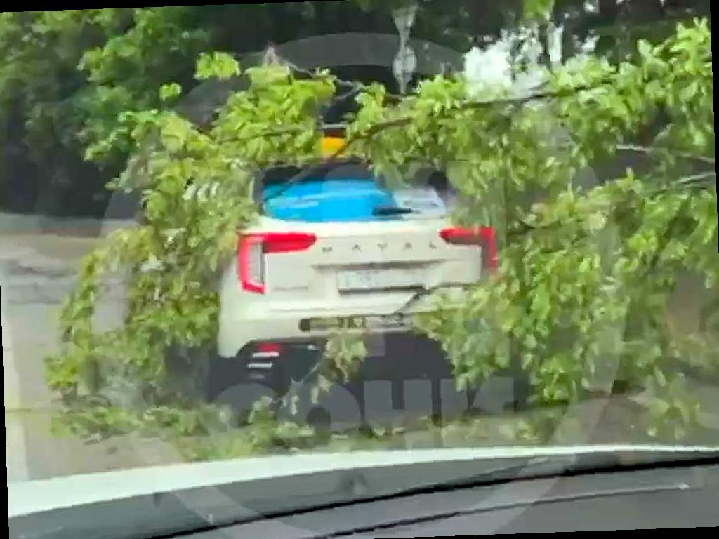 Дерево упало на автомобиль в Дагомысе после ливня