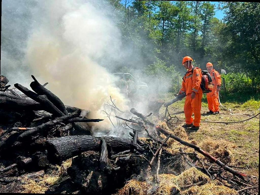 На Кубани пребывание в лесах ограничено до конца июля