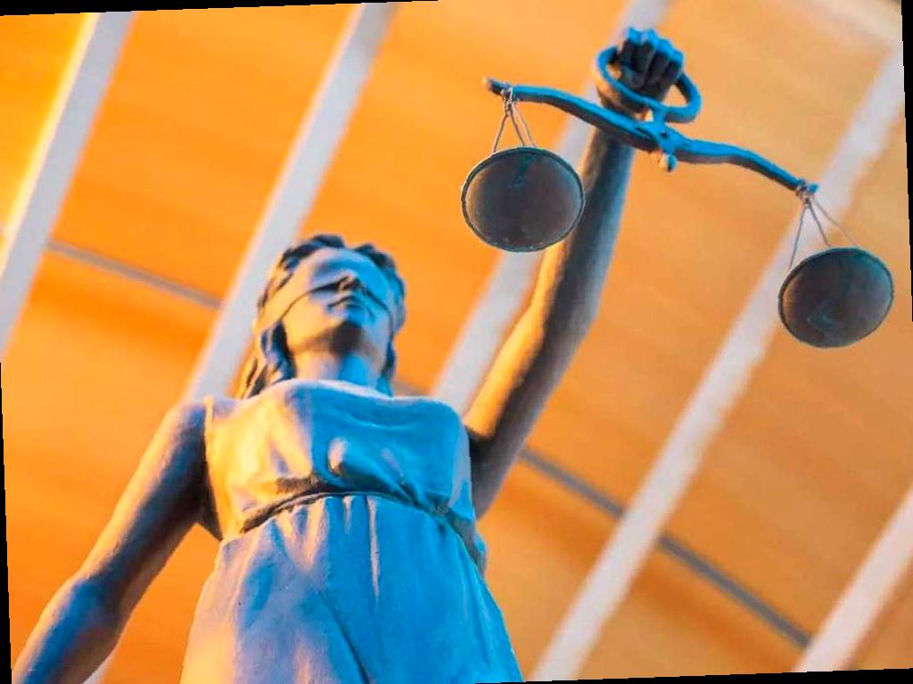 Штраф в размере 10 млн рублей за вырубку растений на участке в Сочи