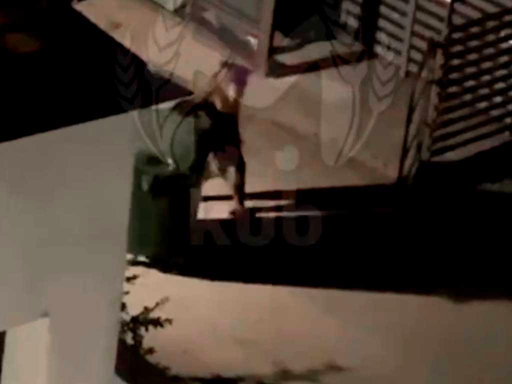 Медведь «украл» мусорный контейнер в ночи в Сочи