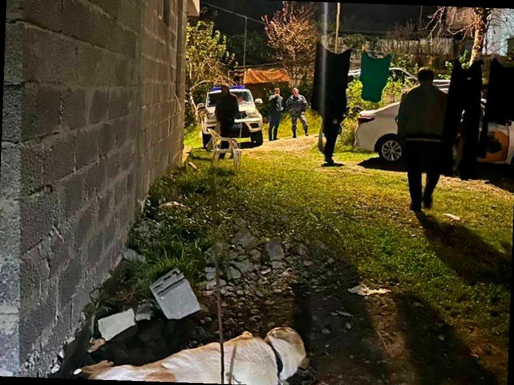 Алабай в Сочи напал на детей, началось расследование