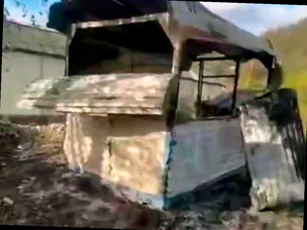 В Сочи неизвестные зажгли двух собак