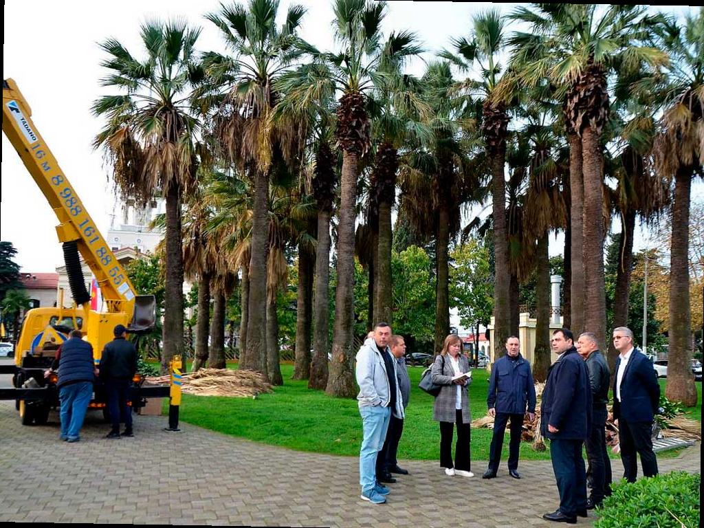 В сквере «Кооперативный» в центре Сочи начнут благоустройство