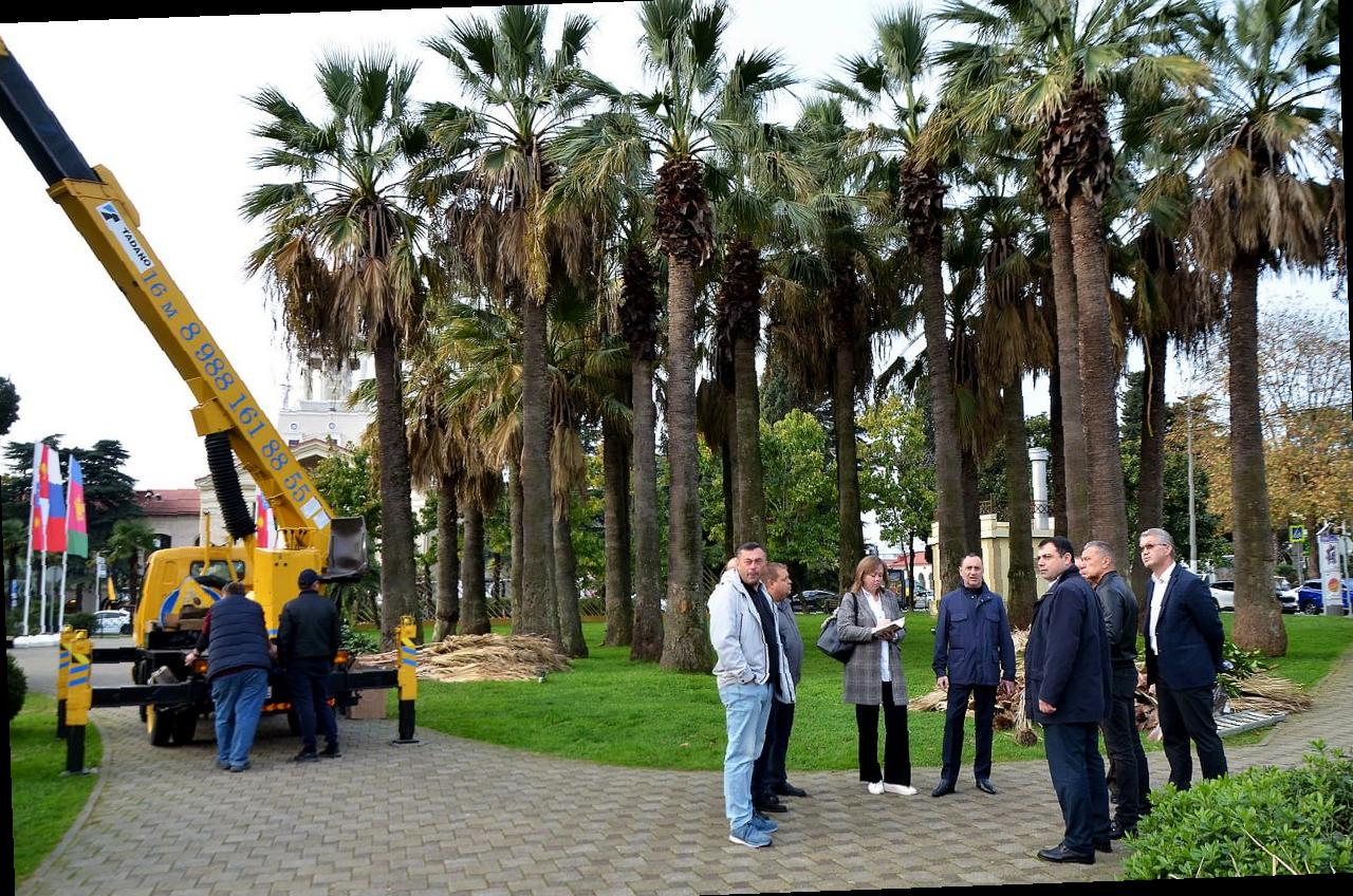 «Виктор Тепляков осмотрел сквер «Кооперативный»