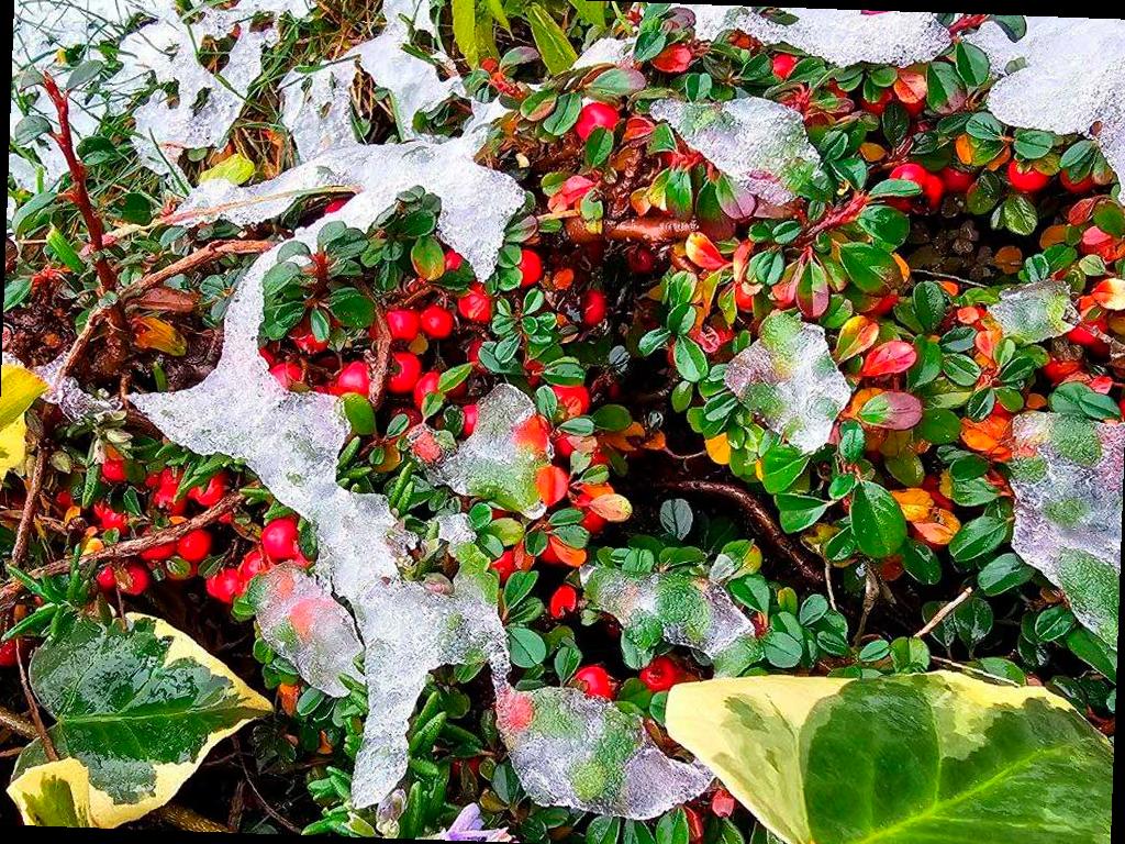 Сильный снег ожидается в предгорьях Сочи 16 января