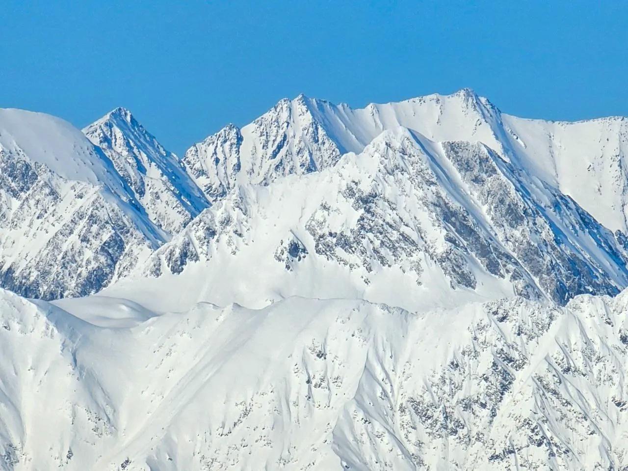 Весенний Отдых в Сочи: Приглашаем на Мартовские Праздники