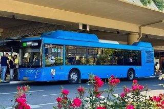 Круглосуточное движение автобуса № 105А в Сочи с 1 июня