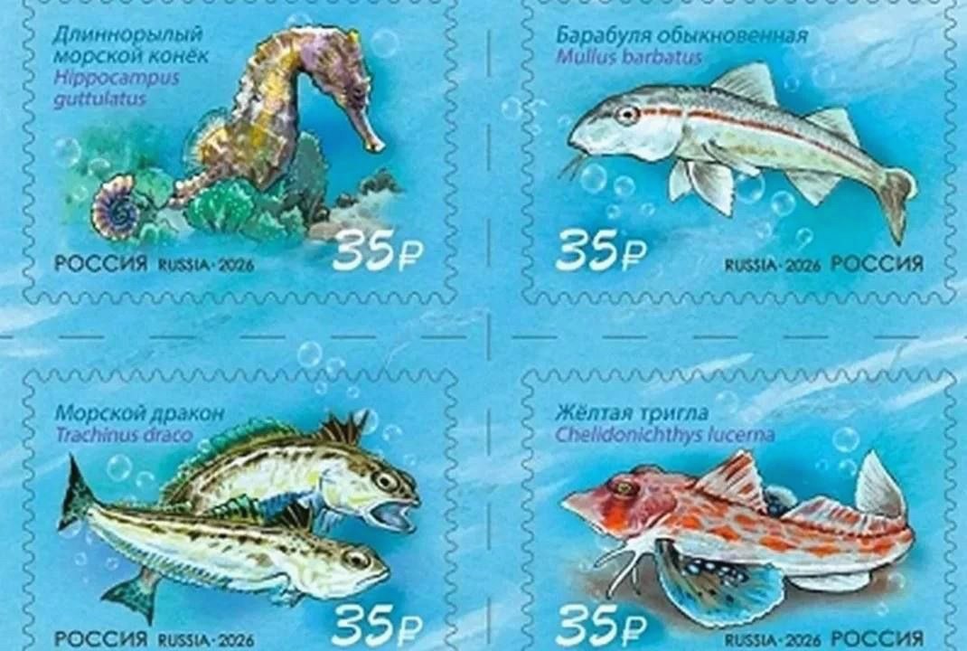 Почта России выпустила серию марок с обитателями Черного моря