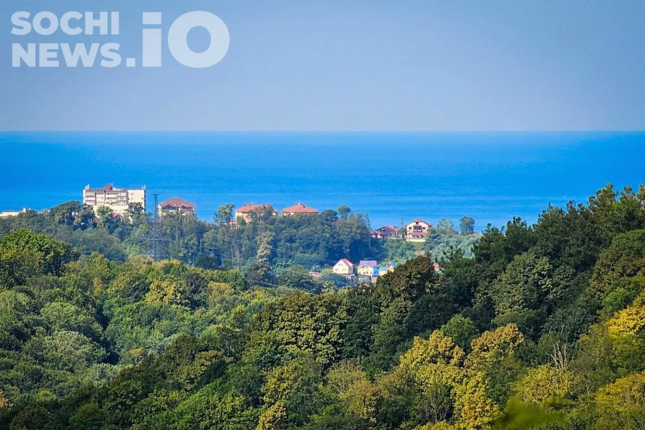 Температура воды в Черном море у Сочи остается низкой
