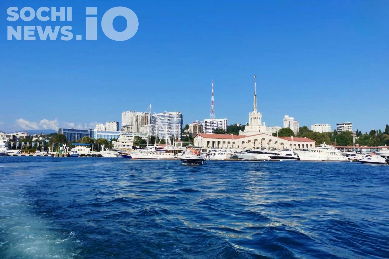 Экологи уверяют: Сочи безопасен для туристов и стабилен экология