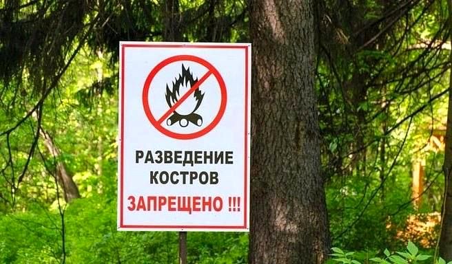В Сочи введён особый противопожарный режим: запрещено разводить костры