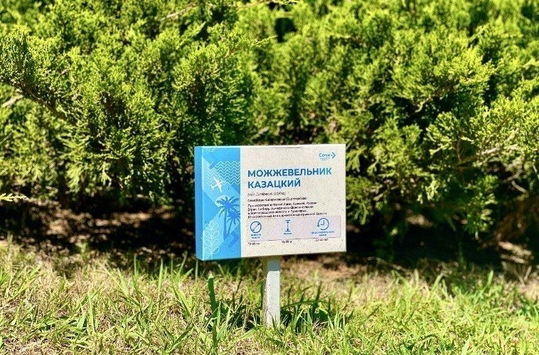 Уникальный тропический сад открыли в аэропорту Сочи