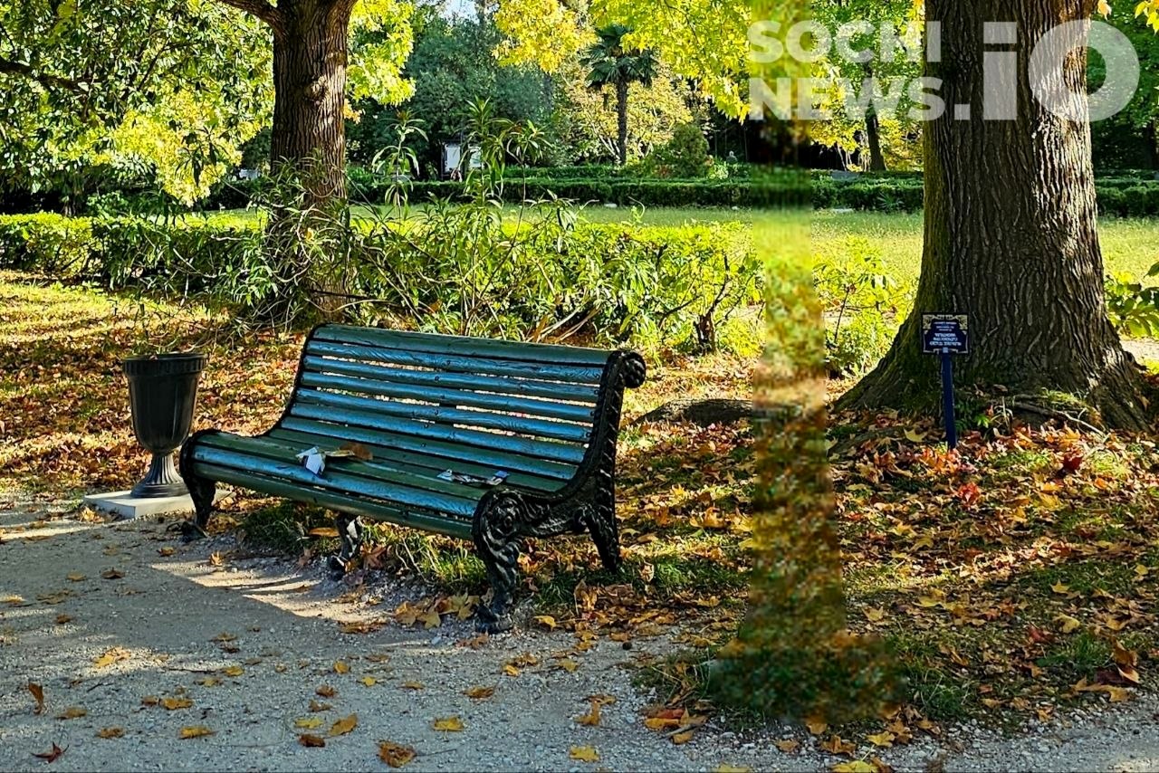 Продолжение бархатного сезона в Краснодарском крае: климатическая осень задерживается
